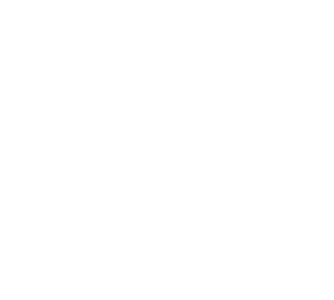 checklist icon