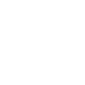 document icon