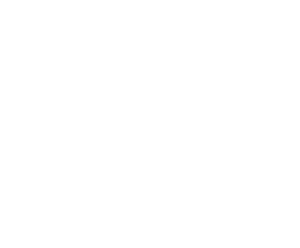 heart in house icon