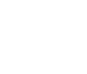 home with person icon